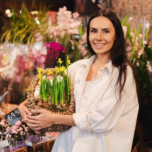 Servicios de Contabilidad - Plan B